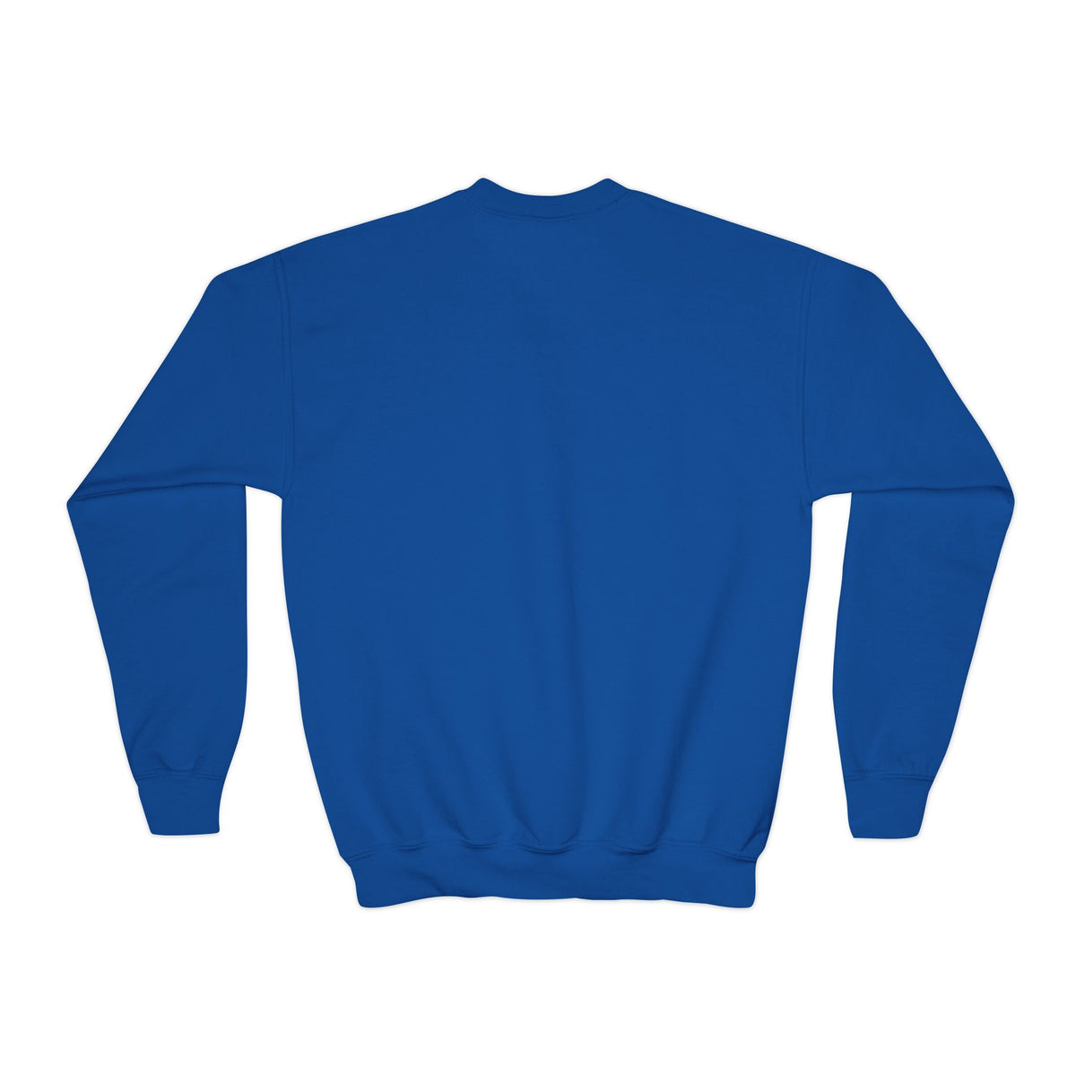 "It's a Falcon Thing" Parker Junior High Youth Crewneck Sweatshirt - Blue