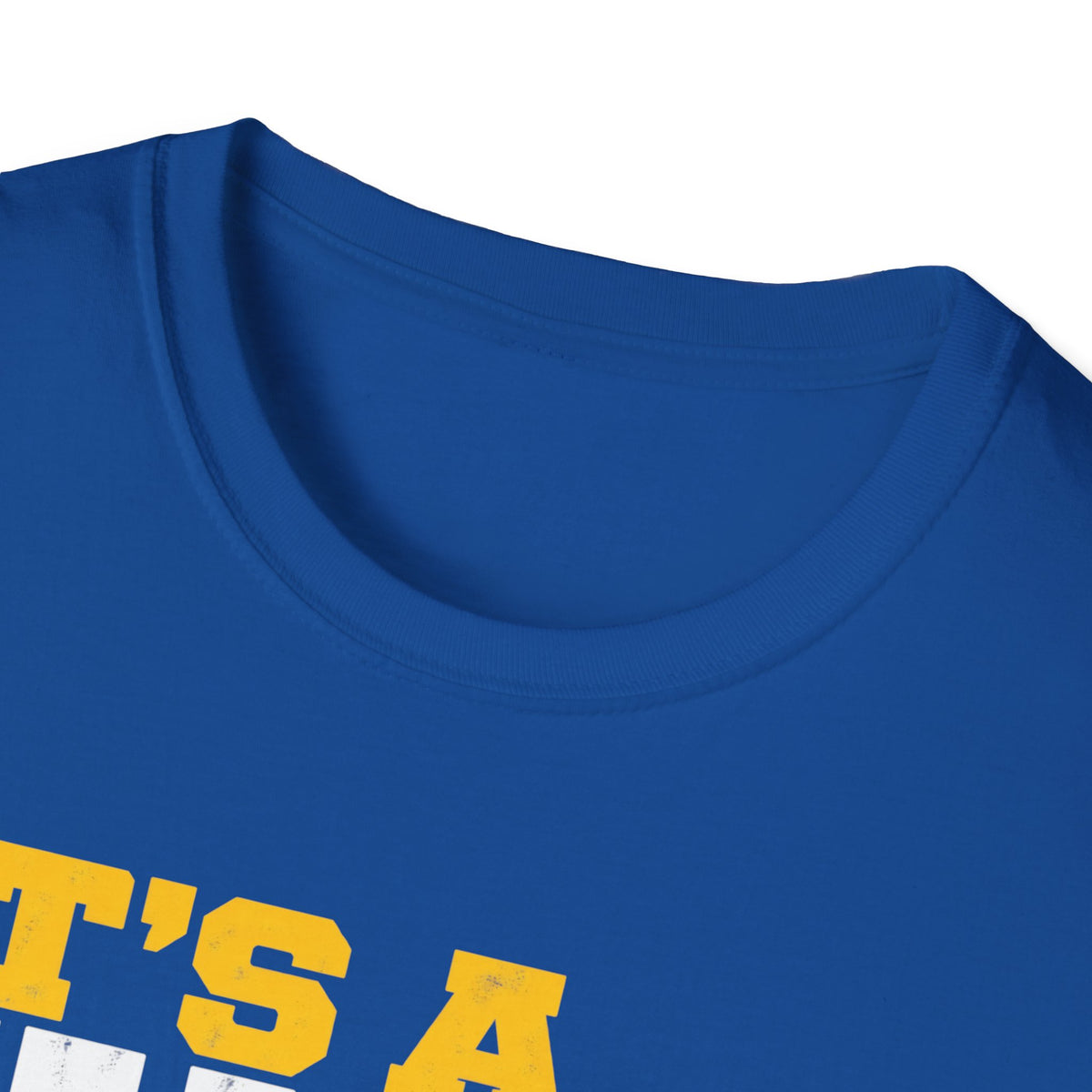 "It's a Falcon Thing" Parker Junior High School Adult Spirit T-Shirt - Blue